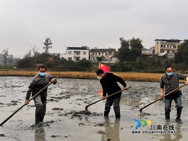瀘縣戰(zhàn)疫情戰(zhàn)春耕兩不誤