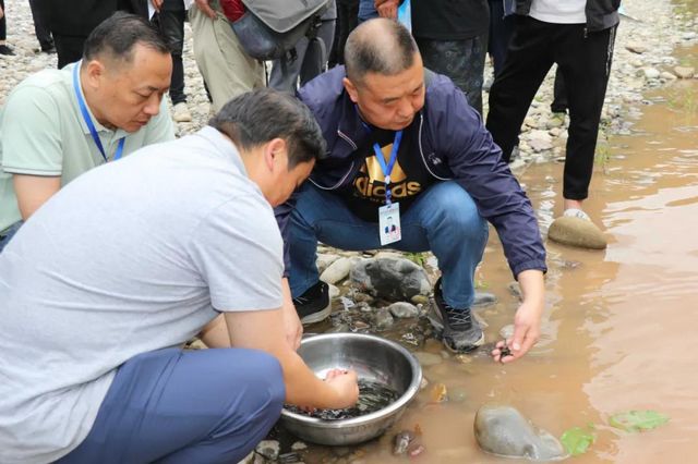 古藺非法捕撈者被判放生魚苗“補(bǔ)河”……