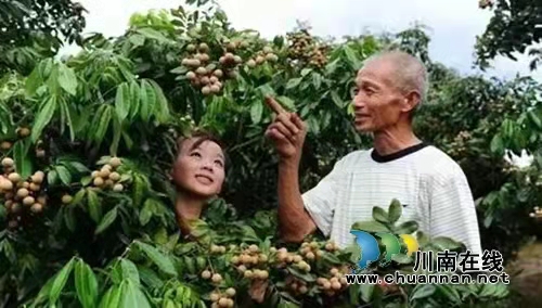 第十屆瀘縣潮河金秋龍眼節(jié)明天隆重開幕