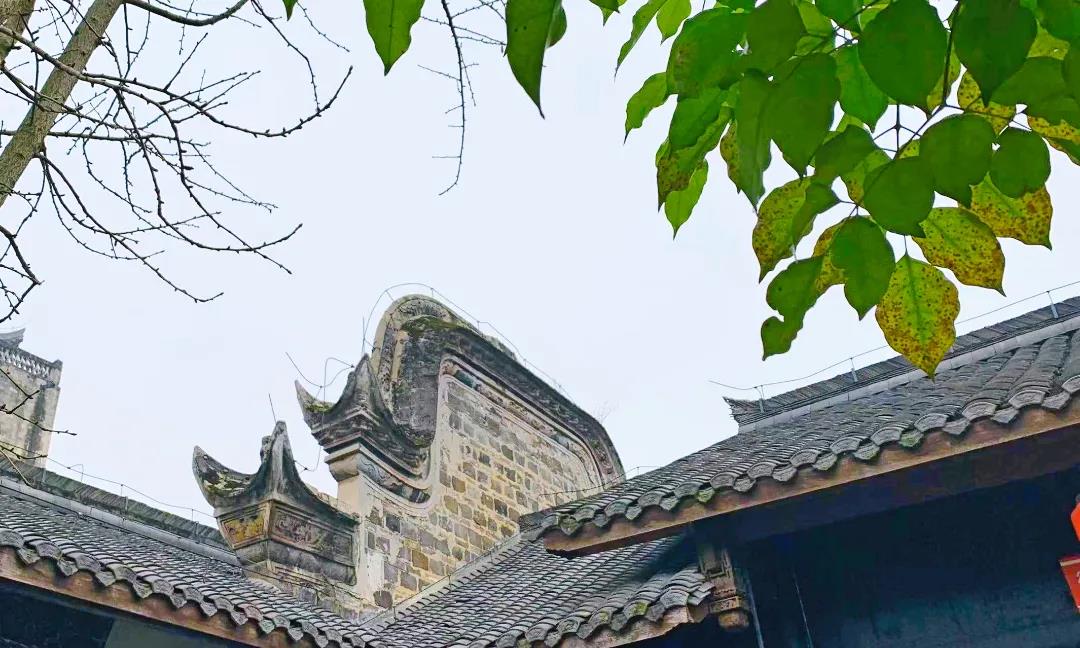 瀘縣屈氏莊園，迎來新面貌！(圖3)