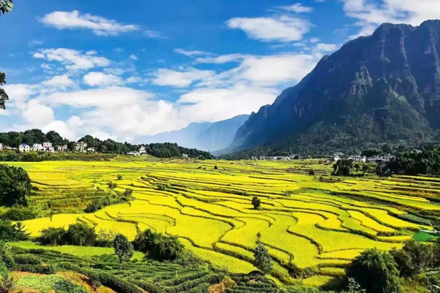 山川遼闊，人間值得丨踏上敘永丹山之旅(圖3)