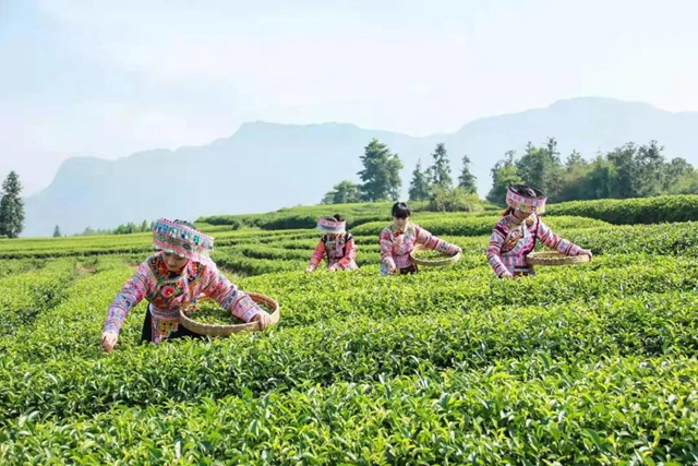 山川遼闊，人間值得丨踏上敘永丹山之旅(圖7)