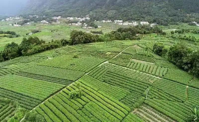 山川遼闊，人間值得丨踏上敘永丹山之旅(圖8)