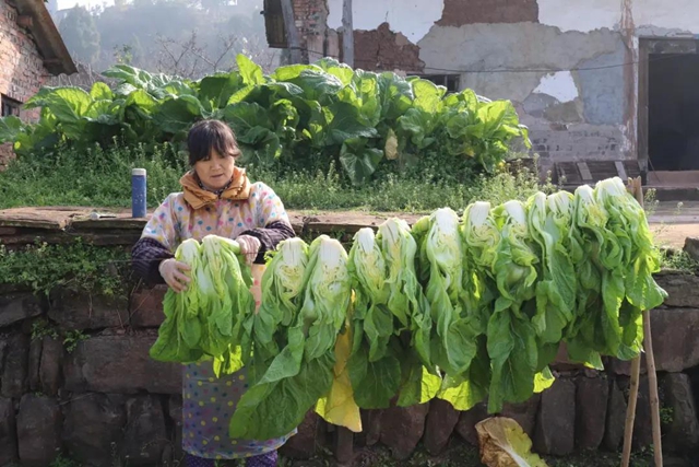 古藺獨(dú)特味道！這私藏美味，你沒吃過就太可惜啦！