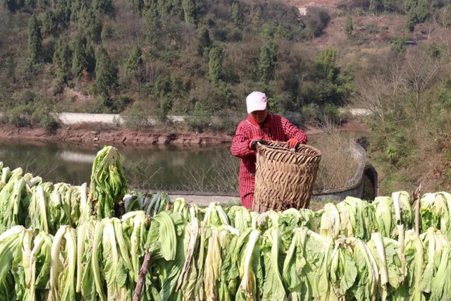 古藺獨特味道！這私藏美味，你沒吃過就太可惜啦！(圖4)