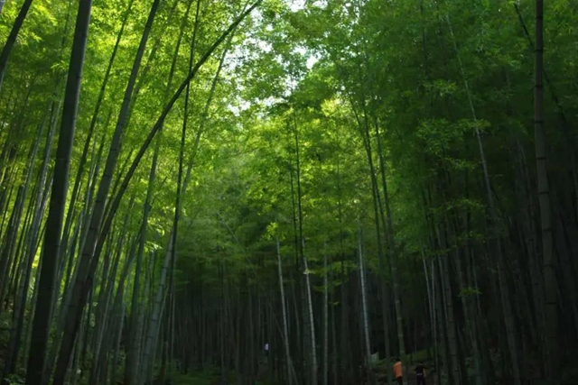 內(nèi)江超好耍的鄉(xiāng)村旅游點都在這了，你覺得最安逸的是哪一個？(圖2)