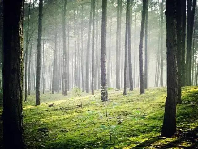 內(nèi)江超好耍的鄉(xiāng)村旅游點都在這了，你覺得最安逸的是哪一個？(圖11)