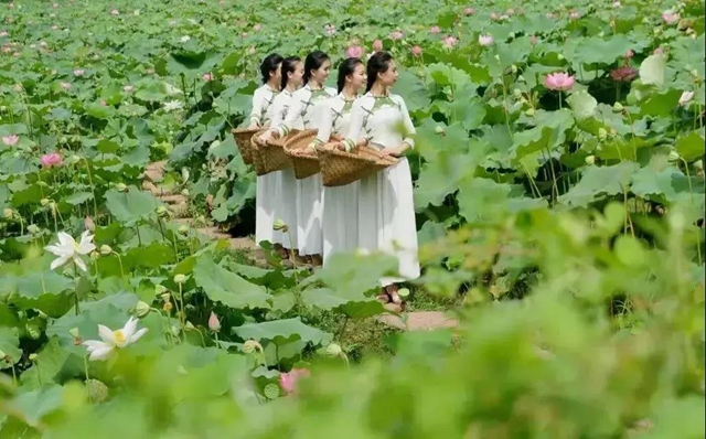 內(nèi)江超好耍的鄉(xiāng)村旅游點都在這了，你覺得最安逸的是哪一個？(圖15)