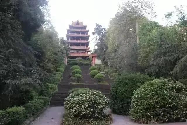 內(nèi)江超好耍的鄉(xiāng)村旅游點都在這了，你覺得最安逸的是哪一個？(圖28)