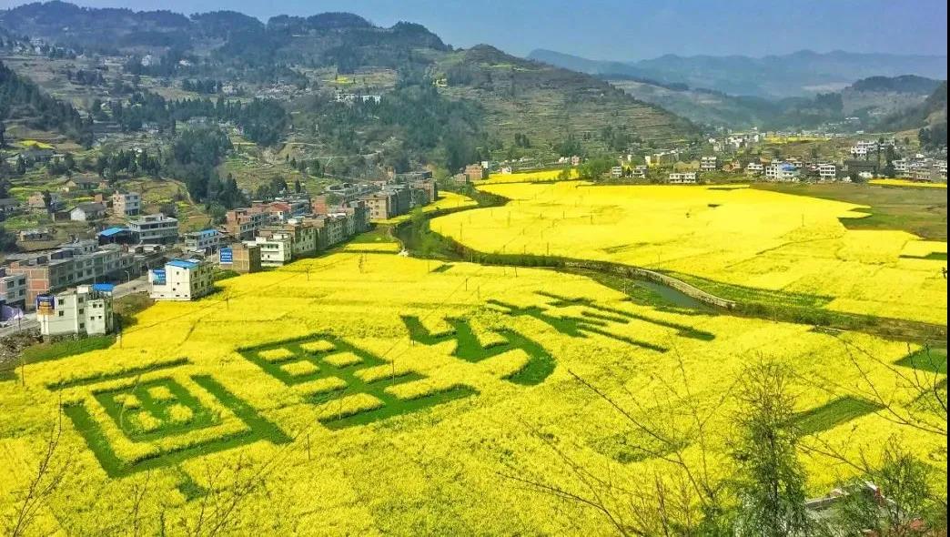 踏青賞花正當時，瀘州發(fā)布多條賞花線路(圖5)