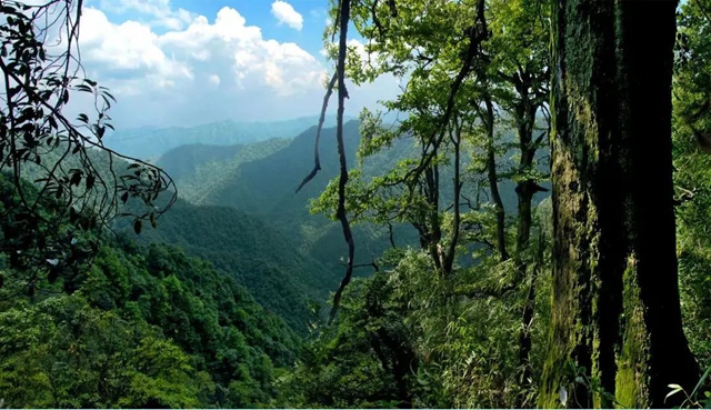 正是登山好時節(jié)丨一起出門，遇見春天(圖13)