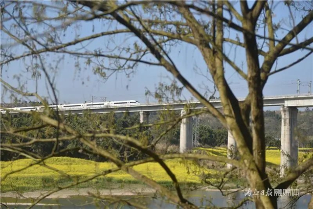 告內(nèi)江市民：乘上這路列車，你就能進(jìn)入一個(gè)“夢幻境界”(圖5)