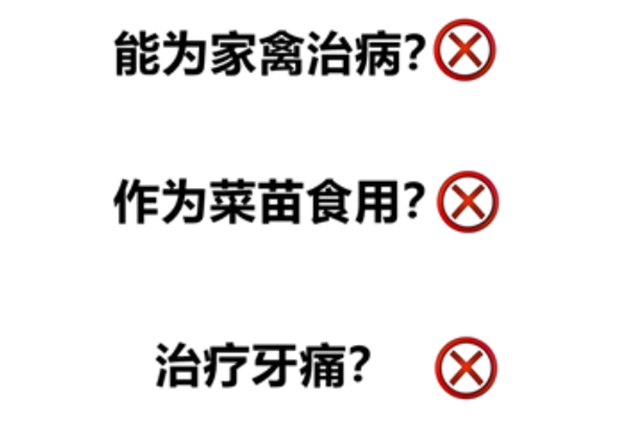 毒偏方，瀘州兩女子深山種罌粟2000余株(圖2)