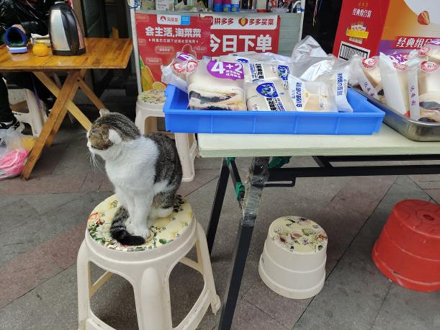 瀘州市食品安全“紅黑榜”（第二十三期）