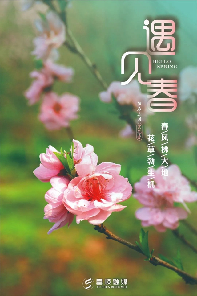 春至“豆花城” | 富順周末踏青來(lái)這就對(duì)了！(圖6)