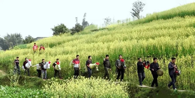 藏不住了！瀘縣這條茶馬古道，盡顯歷史風(fēng)韻！(圖8)