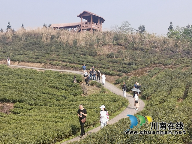 文學(xué)助力鄉(xiāng)村振興！瀘州詩人瀘縣道林溝采風(fēng)活動暨改稿會舉行(圖2)