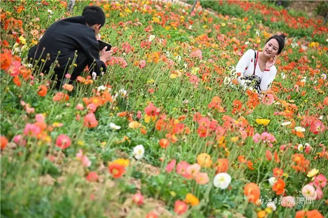 一年四季都有花賞，隆昌這個(gè)景區(qū)太安逸了！(圖2)