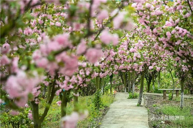 一年四季都有花賞，隆昌這個(gè)景區(qū)太安逸了！(圖3)