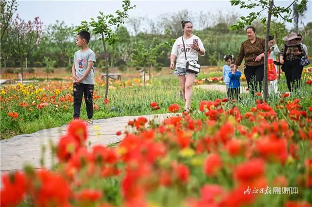 一年四季都有花賞，隆昌這個(gè)景區(qū)太安逸了！(圖13)