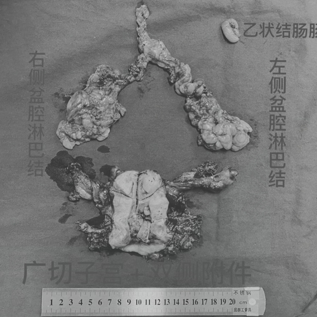 【人物】靠技術(shù)圈粉的婦科男醫(yī)生(圖5)