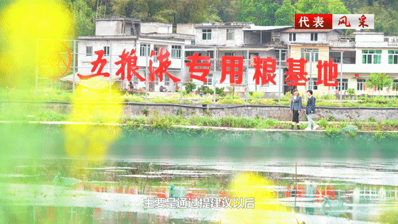 國(guó)家財(cái)政部書(shū)面感謝！宜賓這個(gè)村支書(shū)建議提高糧食收購(gòu)價(jià)……(圖4)