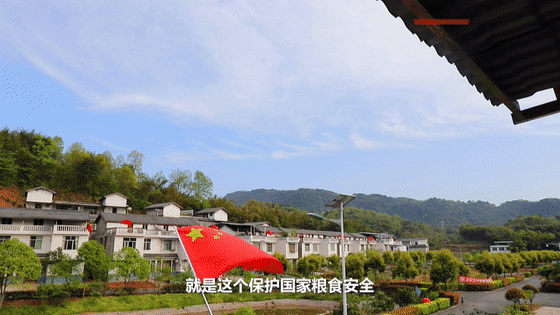 國(guó)家財(cái)政部書(shū)面感謝！宜賓這個(gè)村支書(shū)建議提高糧食收購(gòu)價(jià)……(圖6)