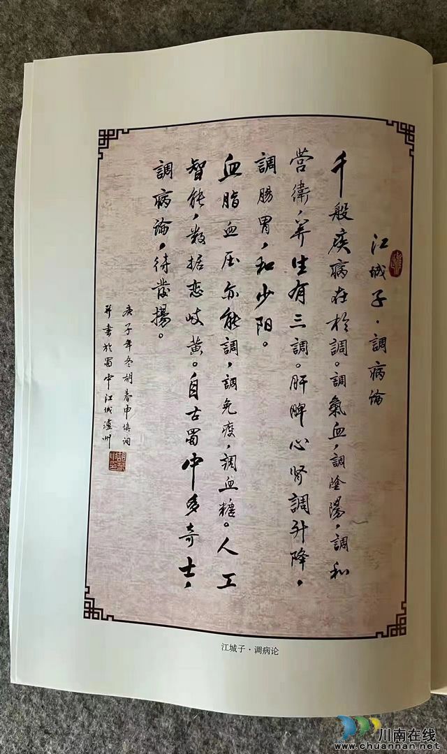 瀘州市全國老中醫(yī)藥專家學術(shù)導師胡春申新著《調(diào)病論》出版(圖5)