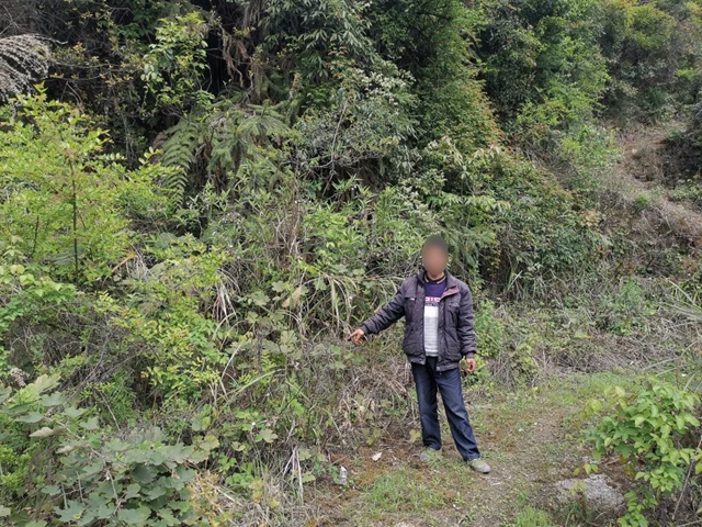 敘永：豹貓剝皮，畫眉售賣，警方蹲守9小時(shí)抓獲狩獵男子！(圖2)