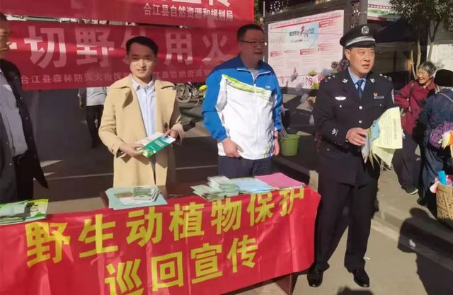 深夜打鳥(niǎo)練“絕技”？合江兩男子涉嫌非法狩獵！(圖2)