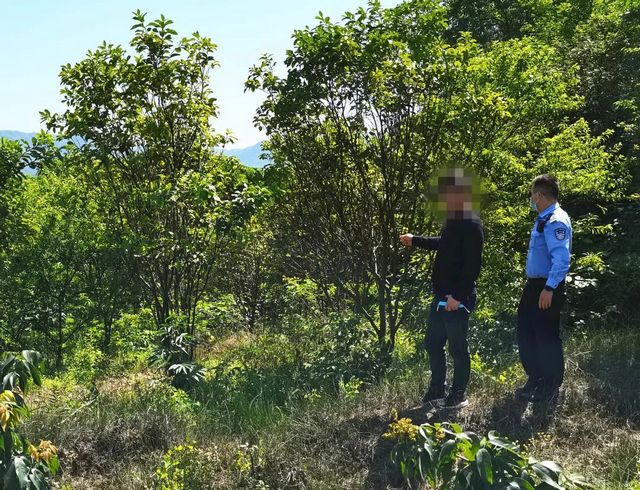 深夜打鳥練“絕技”？合江兩男子涉嫌非法狩獵！