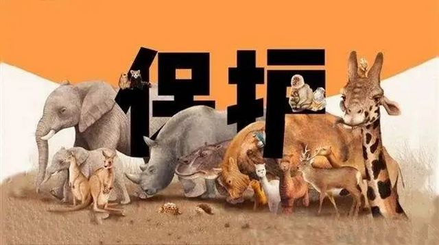 深夜打鳥(niǎo)練“絕技”？合江兩男子涉嫌非法狩獵！(圖8)