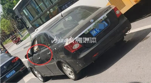 網(wǎng)友舉報：有人抱著狗開車！內(nèi)江交警：安排！