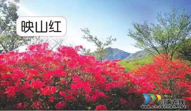 微信圖片_20220517163812.jpg