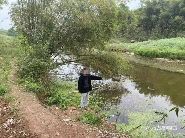 魚2.jpg
