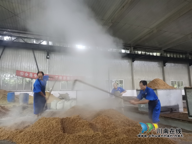瀘州市東翼（合江縣、瀘縣）攝影家走進(jìn)四川蜀光酒業(yè)公司創(chuàng)作采風(fēng)