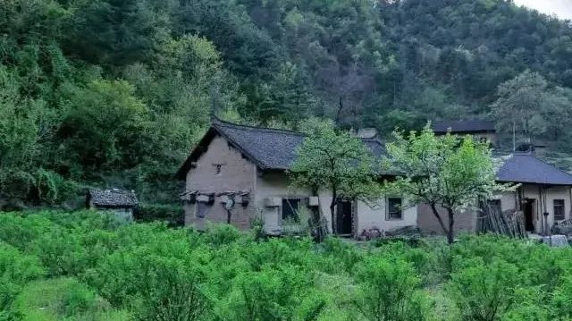 神秘“雞販子”被敘永公安抓獲！
