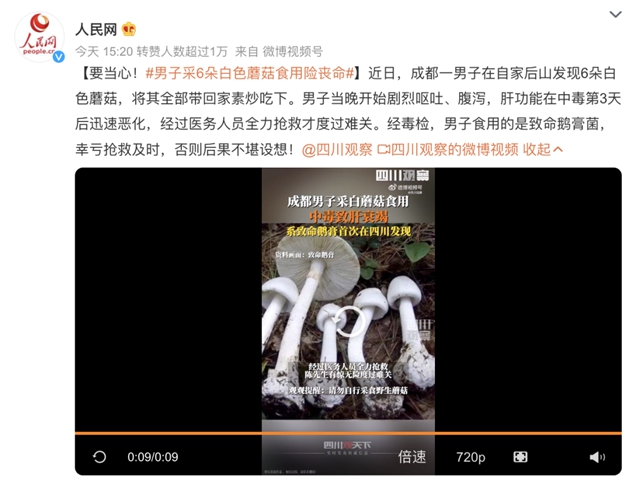 【四川首“發(fā)”】“毒王”蘑菇！一男子又遭了