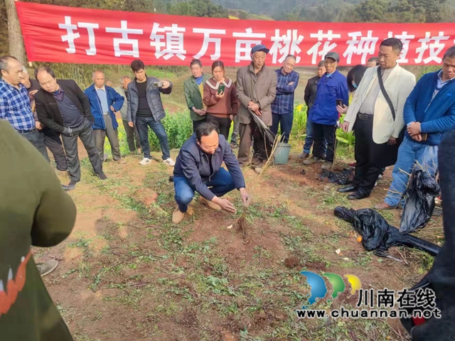 瀘州盟員同昭林：扎根基層，一心撲到鄉(xiāng)村振興道路上