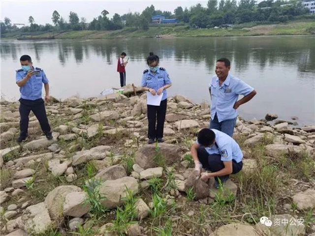 涉嫌犯罪！偷逮“賴克寶”，兩男子被資中警方擋獲