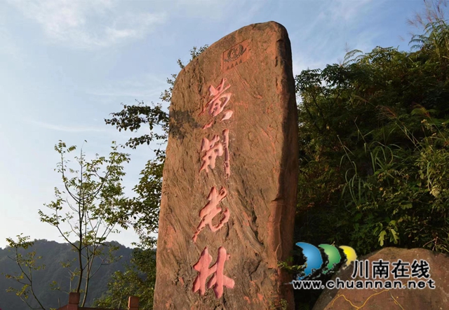 陳大剛：黃荊老林——我好稀詫你