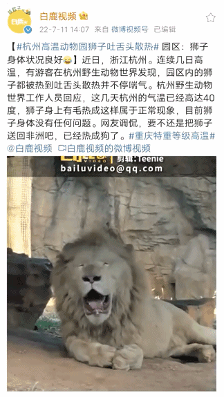 天3.gif