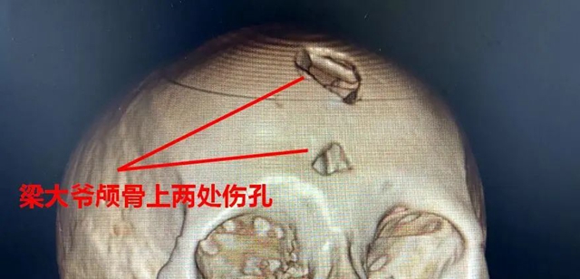 樹2.jpg