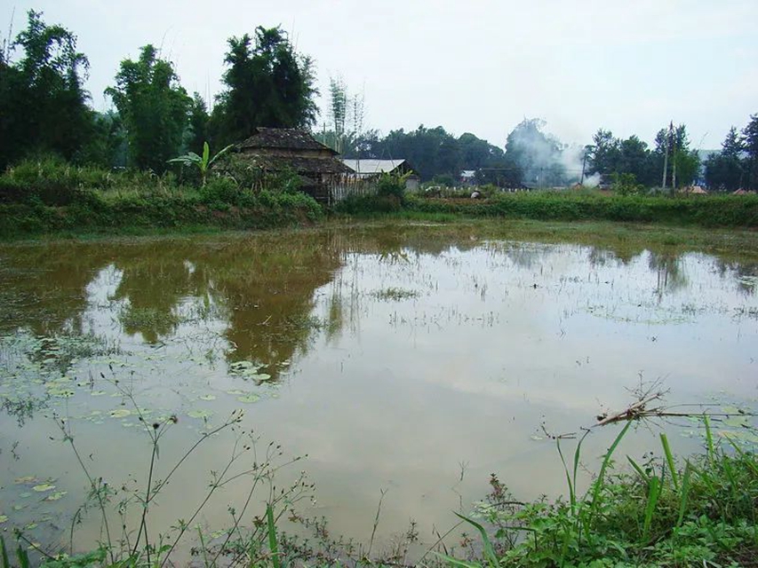 酒麒麟·示范創(chuàng)建 | 江陽法院：“喂魚田”漲水引糾紛，法官現(xiàn)場勘驗(yàn)促調(diào)解