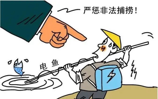 魚1.jpg