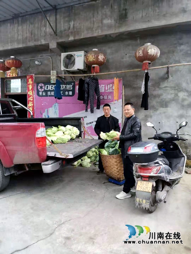 馬芝良收購徐正芬家的蔬菜.jpg