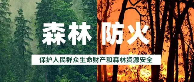 合江這三個人違規(guī)野外用火！罰！