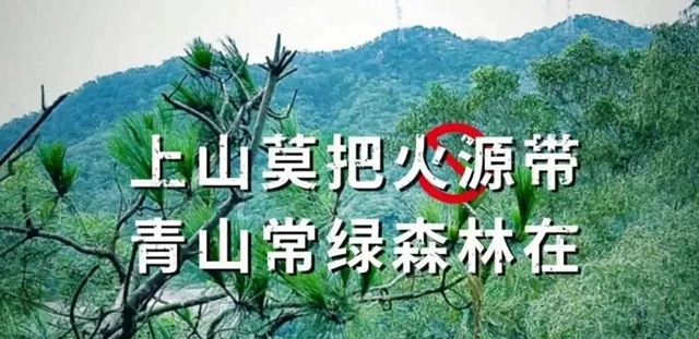 火4.jpg