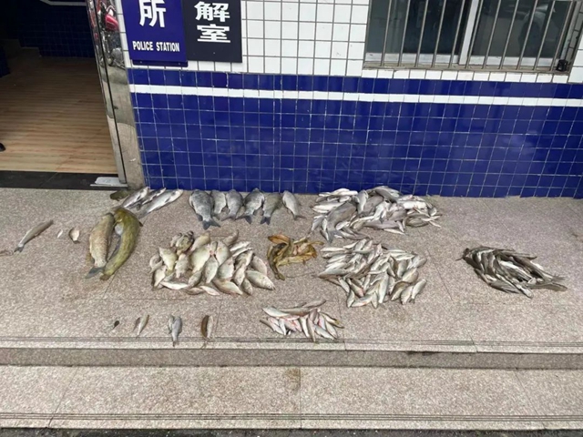 瀘州男子非法捕魚“收獲”頗豐，叫上父母一起背魚