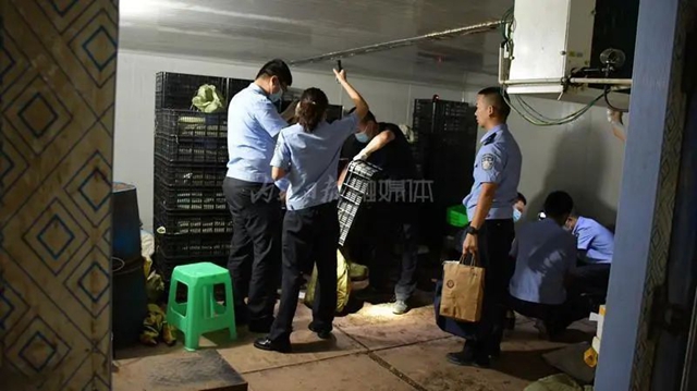 救出5000余只“被囚”蟾蜍！內(nèi)江經(jīng)開區(qū)警方：私自捕捉20只以上就構(gòu)成犯罪